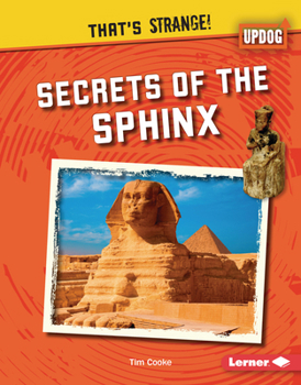 Library Binding Secrets of the Sphinx Book