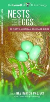 Paperback Nests and Eggs of North American Backyard Birds Book