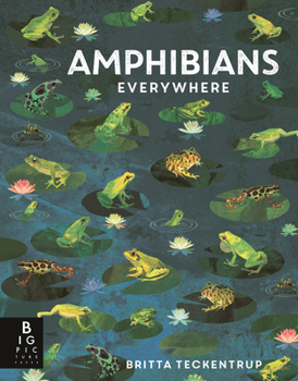 Amphibians Everywhere (Animals Everywhere) - Book  of the Animals Everywhere