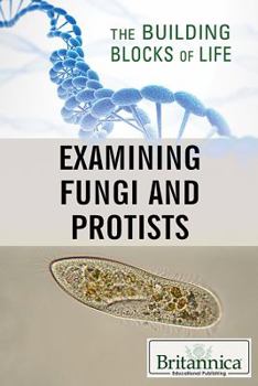 Library Binding Examining Fungi and Protists Book