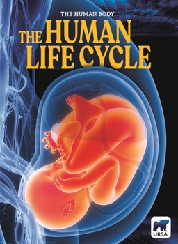 The Human Life Cycle