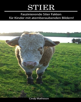 Stier: Faszinierende Stier Fakten für Kinder mit atemberaubenden Bildern! (German Edition)