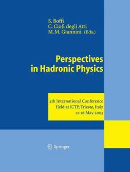 Paperback Perspectives in Hadronic Physics: 4th International Conference Held at Ictp, Trieste, Italy, 12-16 May 2003 Book