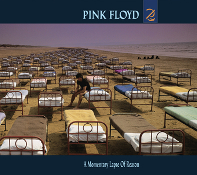 Music - CD Momentary Lapse Of Reason Book