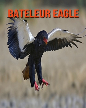 Paperback Bateleur Eagle: Learn About Bateleur Eagle and Enjoy Colorful Pictures Book