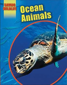 Ocean Animals