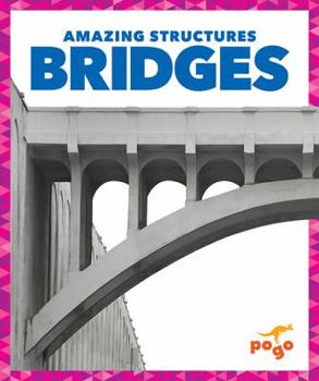 Paperback Bridges Book