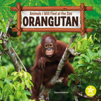 Hardcover Orangutan Book