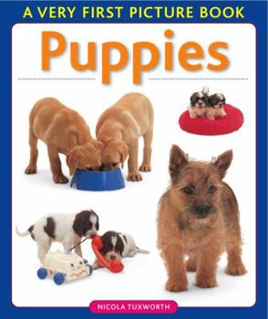 Board book Puppies Book