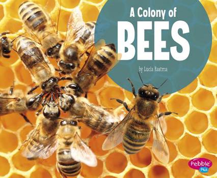 Paperback A Colony of Bees Book