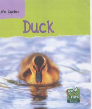 Duck (Life Cycles/Read & Learn) - Book  of the Life Cycles