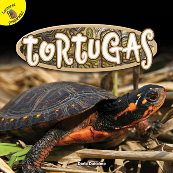 Tortugas / Turtles - Book  of the Reptiles!