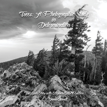 Paperback Trees: A Photographic Study in Determination Book