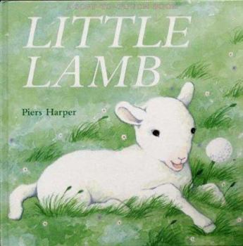 Hardcover Little Lamb Book