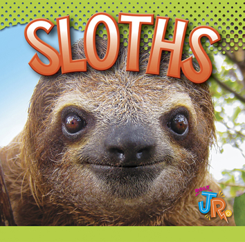 Paperback Sloths Book