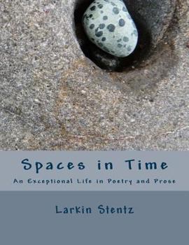 Paperback Spaces in Time Book