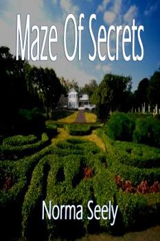 Unknown Binding Maze of Secrets Book