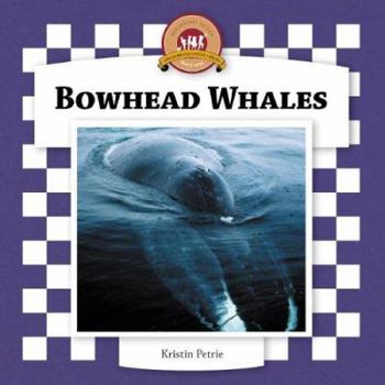 Library Binding Bowhead Whales Book