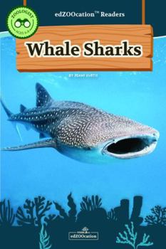 Whale Shark