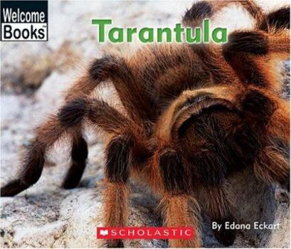 Library Binding Tarantula Book