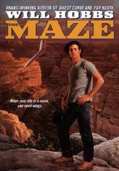 Paperback The Maze Book