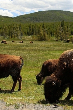 Paperback American Buffalo: Grazing Book