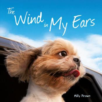 Hardcover The Wind in My Ears Book