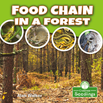 Library Binding Food Chain in a Forest Book