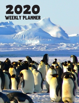 Paperback 2020 Weekly Planner: Penguin 52 Week Journal 8.5" x 11" for Women Academic Organizer Monthly Calendar Scheduler Appointment Planners Book