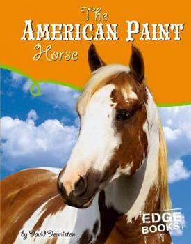 Hardcover The American Paint Horse Book