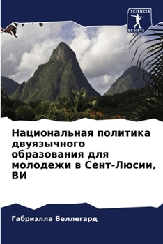 Paperback Национальная политика д& [Russian] Book