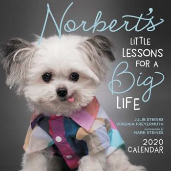 Calendar Norbert's Little Lessons for a Big Life 2020 Wall Calendar Book