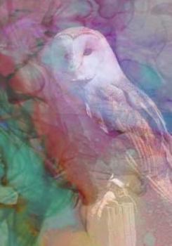 Paperback Watercolor Owl Book