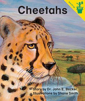 Paperback Early Reader: Cheetahs Book