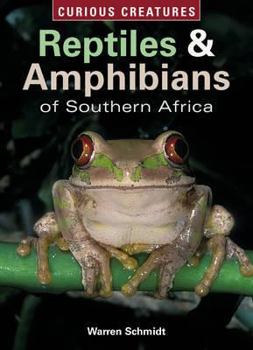 Paperback Reptiles and Amphibians of Southern Africa (Curious Creatures) Book