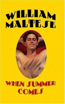 Paperback When Summer Comes Book