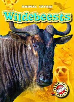 Wildebeests - Book  of the Animal Safari