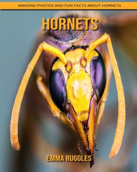 Hornets: Amazing Photos and Fun Facts about Hornets