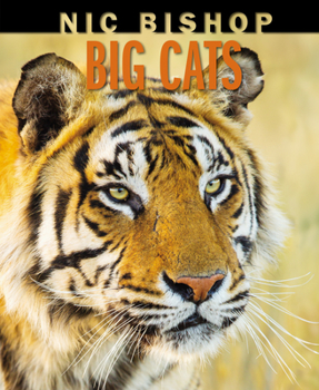 Hardcover Nic Bishop Big Cats Book
