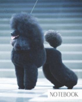 Paperback Notebook: Large College Ruled Notebook for Everyday Use Fluffy Black Poodle Book
