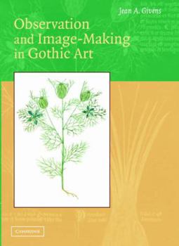 Hardcover Observation and Image-Making in Gothic Art Book