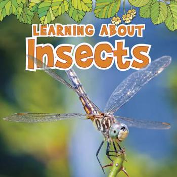 Paperback Learning about Insects Book