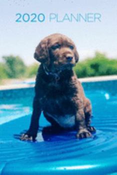2020 Planner: Increase productivity, improve time management, reach your goals: Chocolate Labrador Retriever in pool: Modern artistic photography style