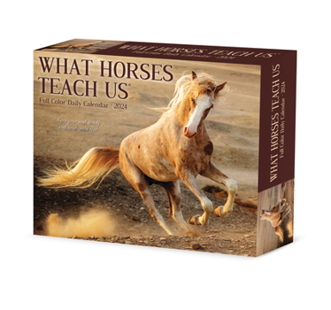 Product Bundle What Horses Teach Us 2024 6.2 X 5.4 Box Calendar Book