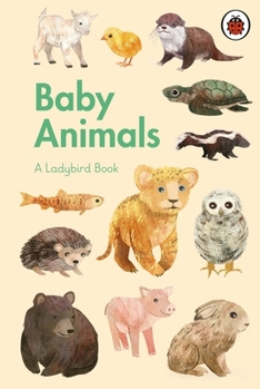 A Ladybird Book: Baby Animals - Book  of the A Ladybird Book