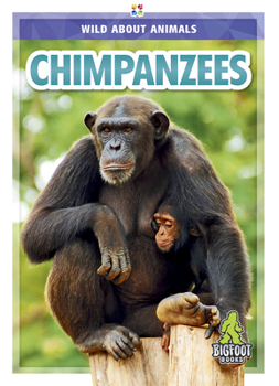 Chimpanzees - Book  of the Wild About Animals
