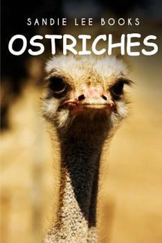 Paperback Ostriches - Sandie Lee Books Book