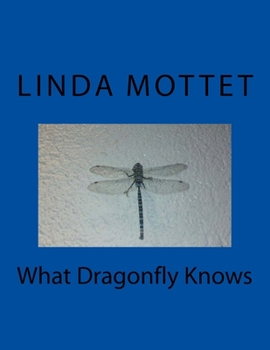 Paperback What Dragonfly Knows Book