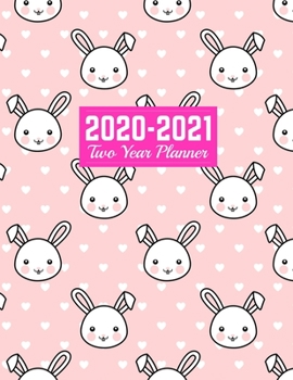 2020-2021 Two Year Planner: Simple January 1, 2020 to December 31, 2021 Weekly & Monthly View Planner, Organizer & Diary Art Cover 00023188