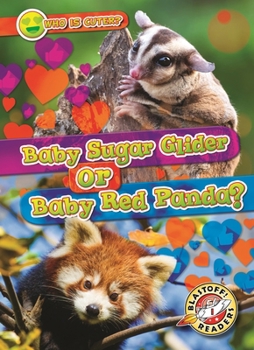 Library Binding Baby Sugar Glider or Baby Red Panda? Book
